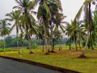 Land for Sale in Embilipitiya