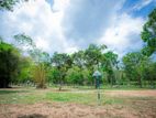 Land for Sale in Embilipitiya