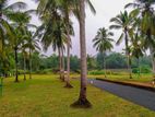 Land for Sale in Embilipitiya