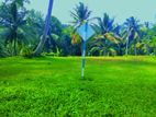 Land for Sale in Embilipitiya