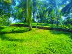 Land for Sale in Embilipitiya