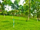 Land for Sale in Embilipitiya