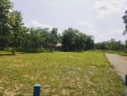 Land for Sale in Embilipitiya