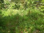 Land for Sale in Embilipitiya