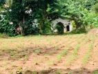 Land For Sale in Embilipitiya