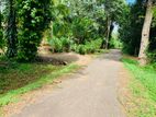 Land For Sale in Embilipitiya