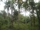 Land for Sale in Embilipitiya
