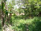 Land For Sale In Embilipitiya