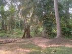 Land for Sale in Embilipitiya