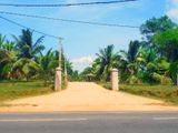 Land for Sale in Embilipitiya