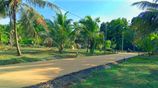 Land for Sale in Embilipitiya