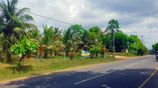 Land for Sale in Embilipitiya