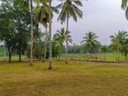 Land for Sale in Embilipitiya , Rathnapura - 12P