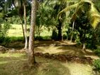 Land for Sale in Epitawala