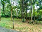 Land for sale in Epitawala.