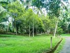 Land for Sale in Epitawala