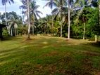 Land for Sale in Epitawala