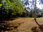 Land for Sale in Epitawela