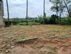 Land for Sale in Eruwala Road Pannipitiya