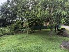 Land for Sale in Ethukotte