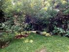 Land for Sale in EthulKotte