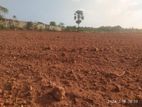 Land for Sale in Evinai ,Jaffna