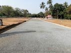 land for sale in face to dambulla kandalama road