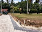 Land for Sale in Facing Kottawa- Piliyandala 296 Bus Route