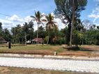 Land for Sale in Facing Kottawa- Piliyandala 296 Bus Route