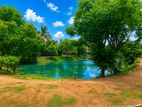 Land for Sale in Facing Lake Gangodawila Nugegoda