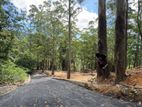 Land for Sale in Front of Hakgala Botanical Garden Nuwara Eliya