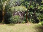 Land for Sale Weligama