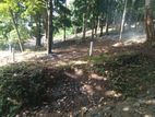 Land for Sale in Galagedara