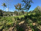 Land for sale in Galagedara