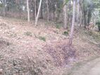 Land for Sale in Galagedara