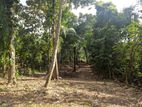 Land for Sale in Galahitiyawa, Ganemulla.