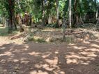 Land for Sale in Galakubura Road Neelammahara Katuwawala Boralesgamuwa