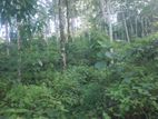 Land for Sale in Galapitamada, Warakapola