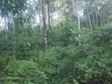 Land for Sale in Galapitamada, Warakapola