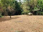 Land for Sale in Galewela