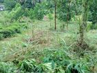 Land for Sale in Galigamuwa