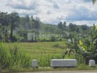 Land for Sale in Galigamuwa