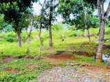 Land for Sale in Galigamuwa Kegalle