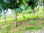 Land for Sale in Galigamuwa Kegalle