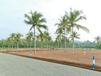 Land for Sale in Galle - 10 Perches