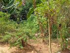 Land for sale in Galle ( දේපල අංක 46 - 2726 )
