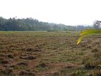 Land for Sale in Galle ( දේපල අංක 46 - 2768 )