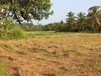 Land for sale in Galle ( දේපල අංක 46 - 2768 )