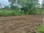 Land for Sale in Galle Elpitiya