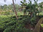 Land for Sale in Galle